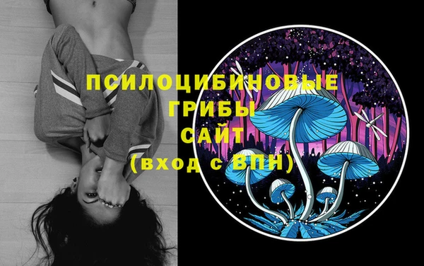 дживик Беломорск