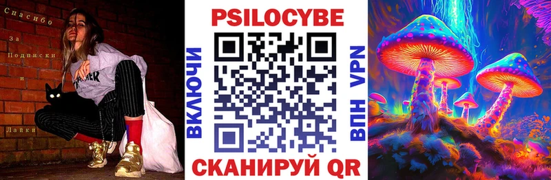 Псилоцибиновые грибы Psilocybe  купить  цена  Дигора 