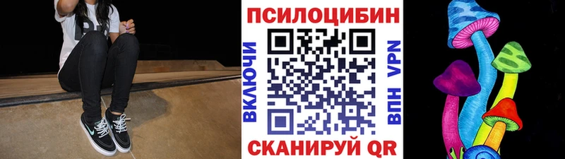 Псилоцибиновые грибы Psilocybe Дигора